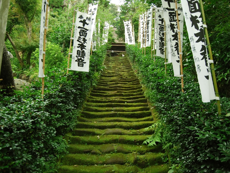 鎌倉杉本寺がなぜ苔寺と呼ばれているか？